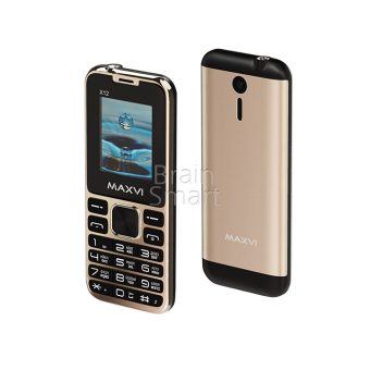 Мобильный телефон Maxvi X12 Золотой фото
