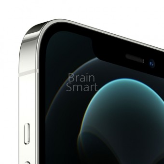 Смартфон Apple iPhone 12 Pro Max (256GB) Dual sim Серебристый фото