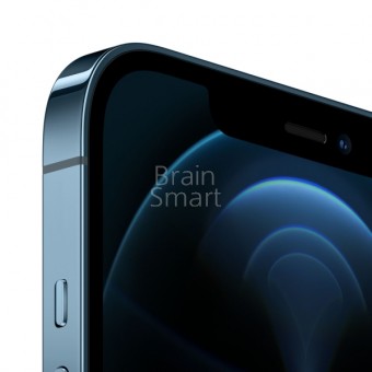Смартфон iPhone 12 Pro Max (128GB) Синий фото