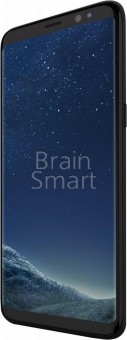 Смартфон Samsung Galaxy S8 G950 64 Gb черный фото