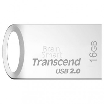 Память USB Flash Transcend JetFlash 510S 16 ГБ серебристый фото