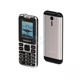 Мобильный телефон Maxvi X12 Серебро фото