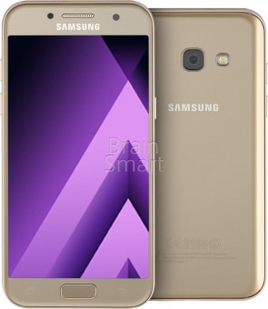 Смартфон Samsung Galaxy A3 (2017) SM-A320F 16 ГБ золотистый фото