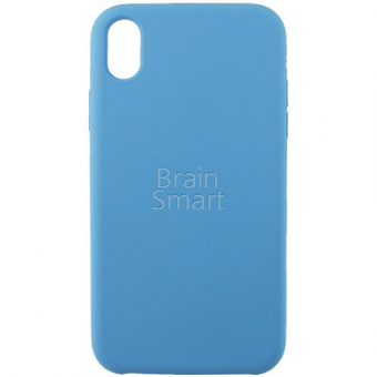 Чехол накладка силиконовая iPhone XR Silicone Case Голубая Хризантема (53) фото