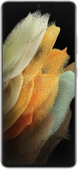 Смартфон Samsung Galaxy S21 Ultra G998 12/256Gb Серебряный фото