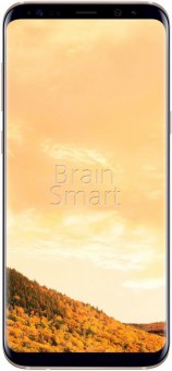 Смартфон Samsung Galaxy S8 Plus G955 64 Gb золотистый фото