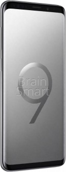 Смартфон Samsung Galaxy S9+ 64 Gb серый фото