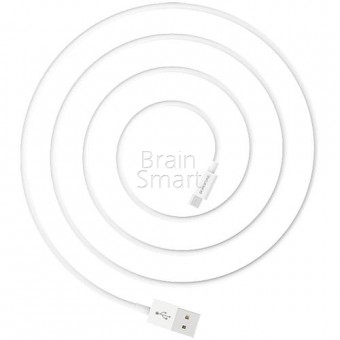 USB кабель Borofone BX22 Bloom Miсro (1м) White фото