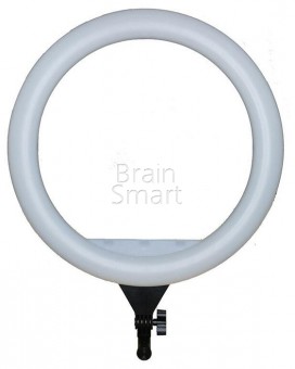 Кольцо для селфи LED CXB-460 (45см) Белое + штатив фото