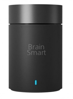 Колонка портативная Xiaomi  Mi Bluetooth Speaker 2 FXR4042CN черный фото