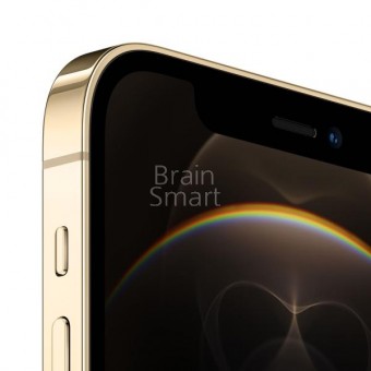 Смартфон Apple iPhone 12 Pro (256GB) Золотой фото