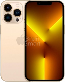 Смартфон Apple iPhone 13 Pro (256GB) золотой фото