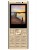 Мобильный телефон Vertex D536 золотистый фото