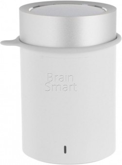 Колонка портативная XIAOMI MI Pocket Speaker 2 (FXR4062GL)  White фото