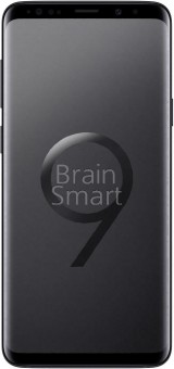Смартфон Samsung Galaxy S9+ 256 Gb черный фото