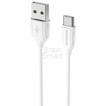 USB кабель Borofone BX19 Benefit Type-C (1м) White фото