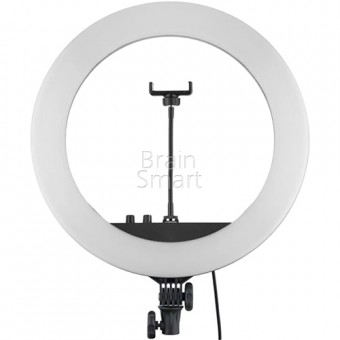 Кольцо для селфи LED YQ-360A (36см) Белое фото
