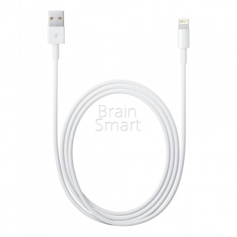 USB кабель Lightning  iPhone 7 (MD818FE/A) фото