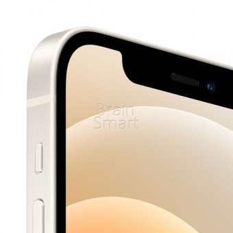 Смартфон Apple iPhone 12 Pro (128GB) Белый фото