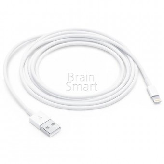USB кабель Lightning  iPhone 7 (MD818ZM/A) 1m фото