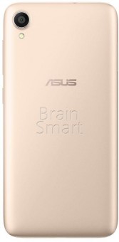 Смартфон Asus Zenfone Live L1 ZA550KL 16 ГБ золотистый фото