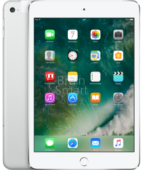 Планшет Apple iPad mini 4 Cellular 16 ГБ серебристый фото
