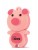 Память USB Flash Mirex Pig 16 ГБ pink фото