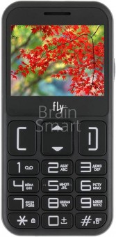 Сотовый телефон Fly Ezzy 9 черный фото