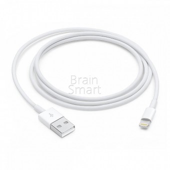 USB кабель Lightning  iPhone 7 оригинал 100% 2 м фото