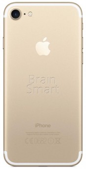 Смартфон Apple iPhone 7 32 ГБ золотистый фото