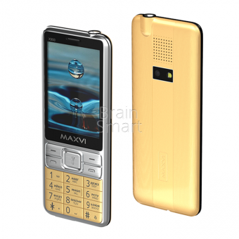 Мобильный телефон Maxvi X900 Золотой фото